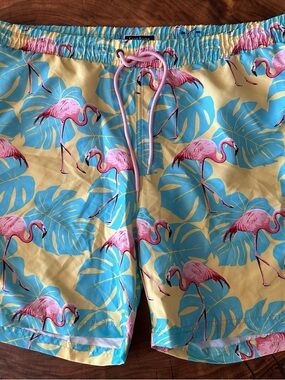 Flamingo Tropical Print Swim Shorts